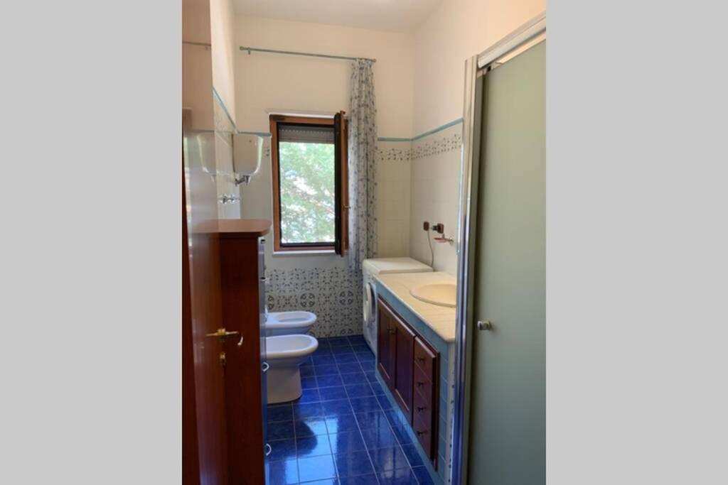 Casa Alexandr Piedigrotta Daire Pizzo  Dış mekan fotoğraf