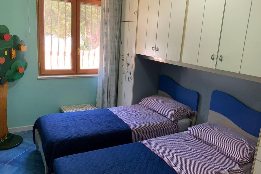 Casa Alexandr Piedigrotta Daire Pizzo  Dış mekan fotoğraf